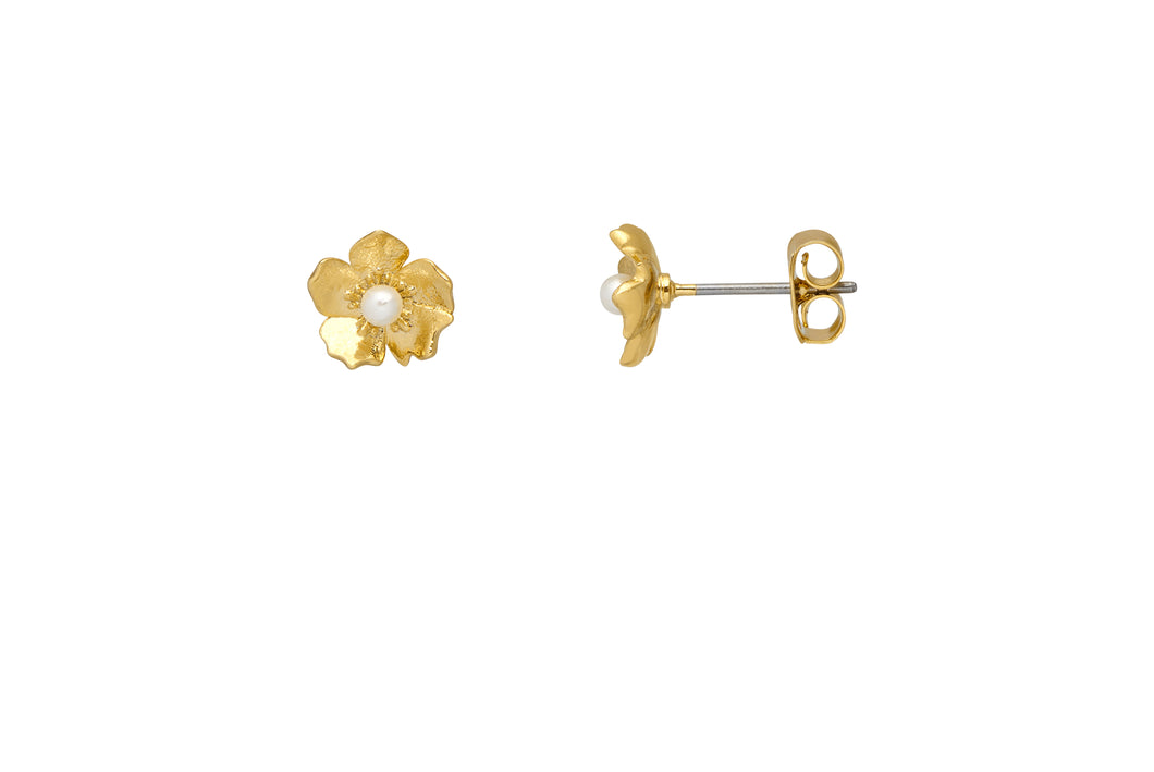 Estella Bartlett Gold Buttercup Studs With Pearls